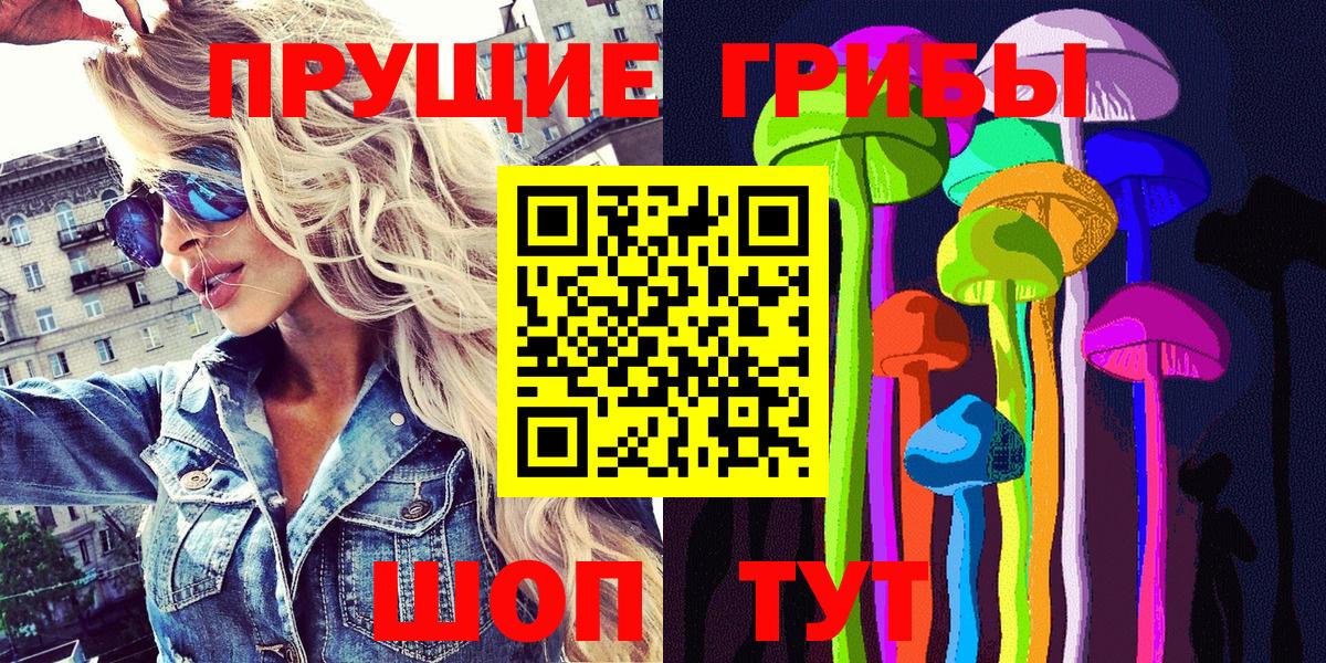 магазин  наркотиков  Вход с VPN  Хасавюрт  Галлюциногенные грибы прущие грибы 